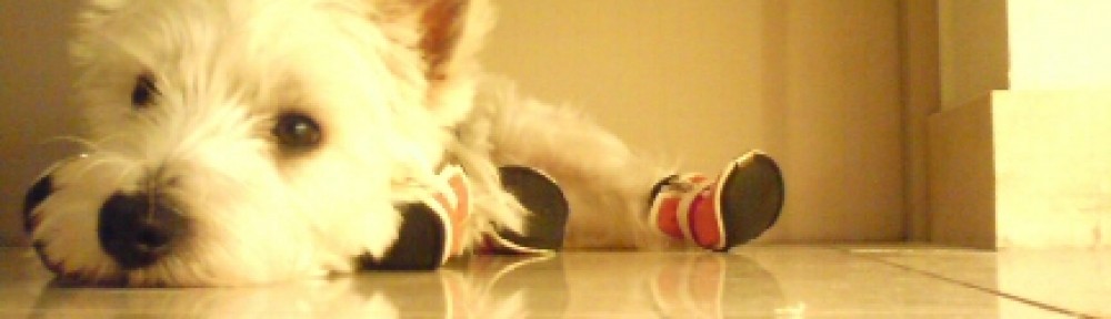 cropped-20080322230515.jpg